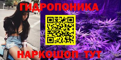 крисы Ставрополь