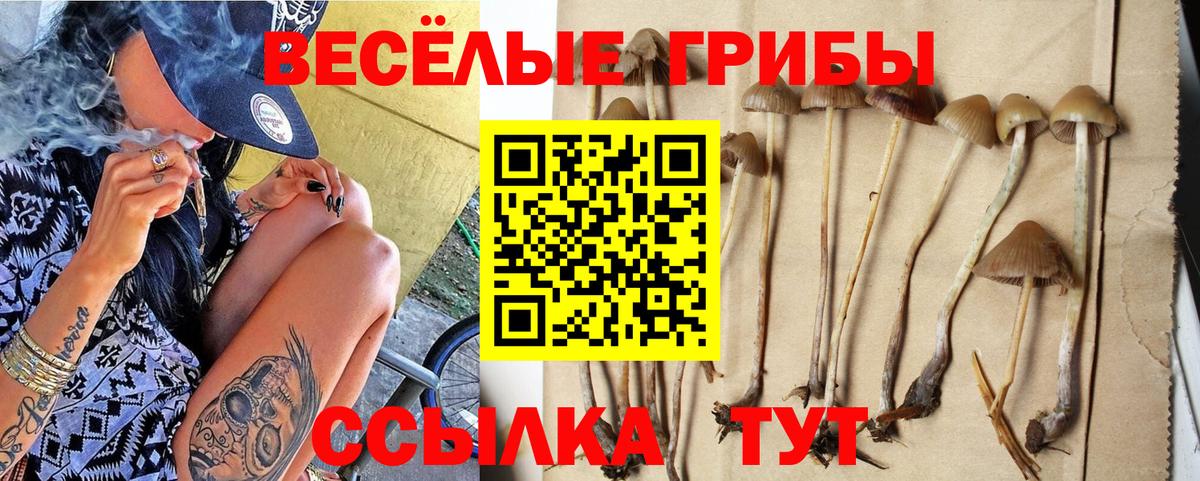 Октябрьский  купить наркоту  Вход с VPN  Псилоцибиновые грибы прущие грибы 